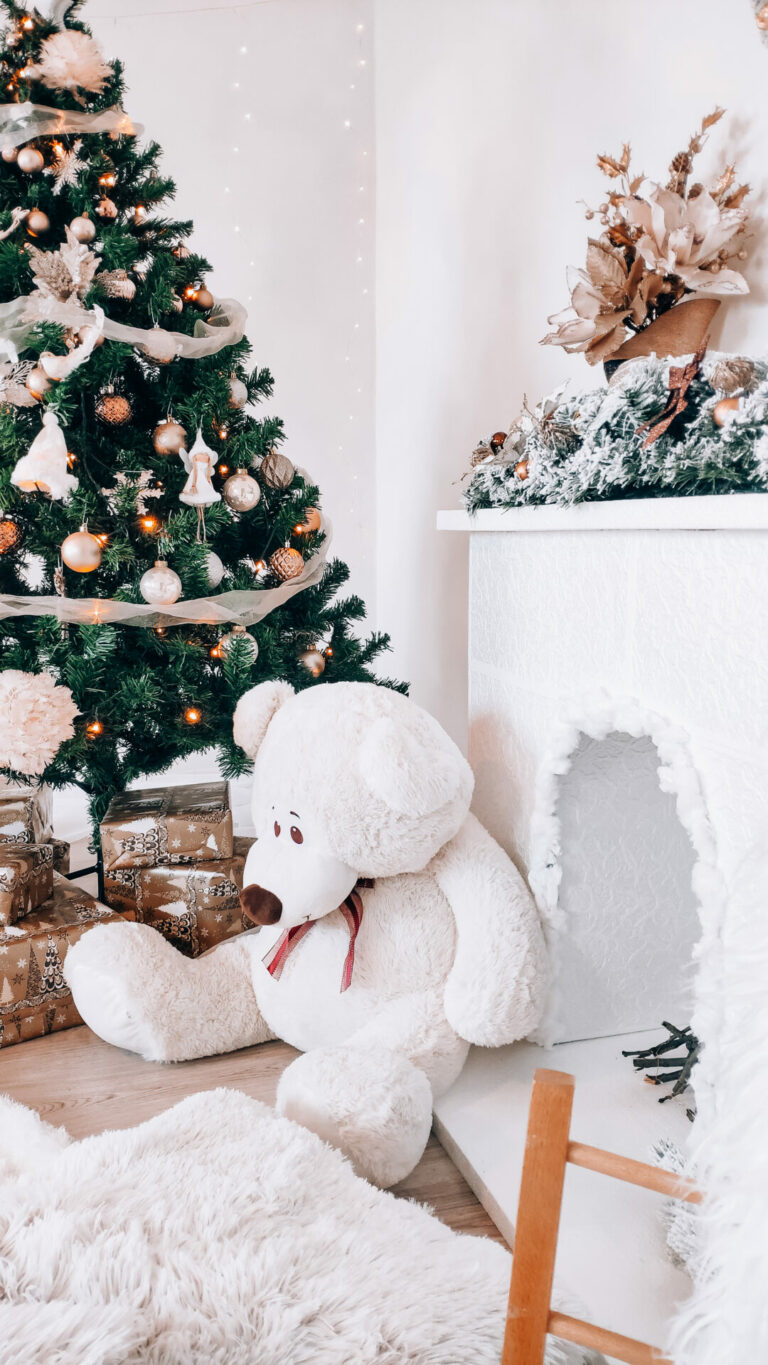 Detail fotky na macka v ateliéri s vianočnou výzdobou